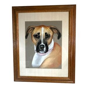 Sheba Dog Portrait Shepherd Mix Puppy Framed Artwork By Katrina E. Blumenstein